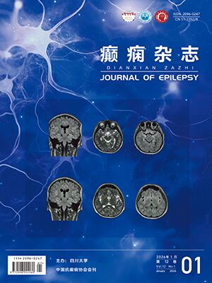 Journal of Epilepsy