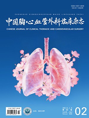 Chinese Journal of Clinical Thoracic and Cardiovascular Surgery